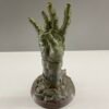 Zombie Grip - Suport Controller